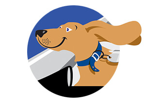 Henley Dog